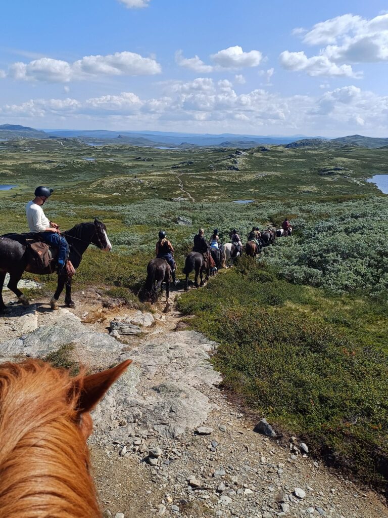 Foto Linda Helmersen